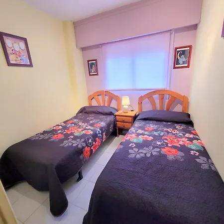 Civitas 5 *